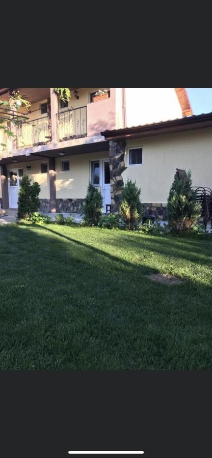 Vila Vlad Două Mai Dış mekan fotoğraf